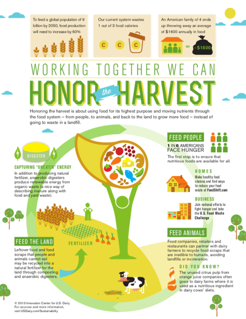 Honor the Harvest